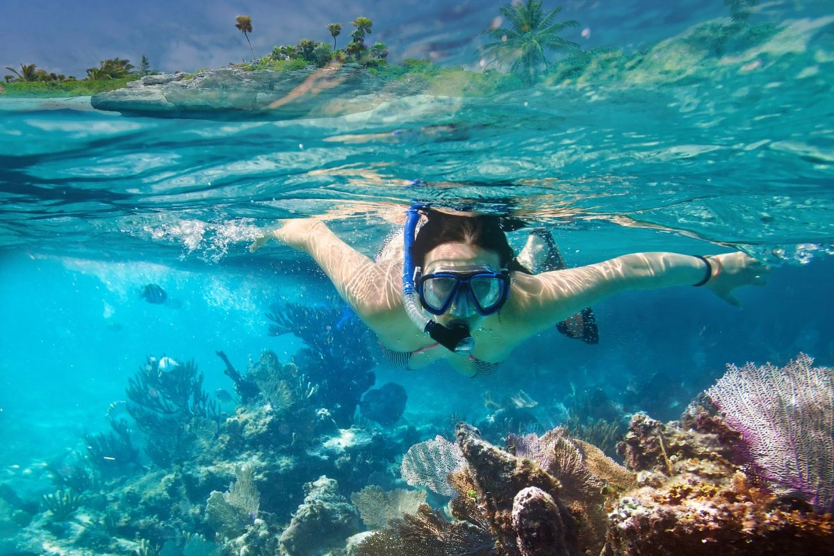 Person snorkeling in the mesoamerican reef